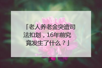 老人养老金突遭司法扣划，16年前究竟发生了什么？