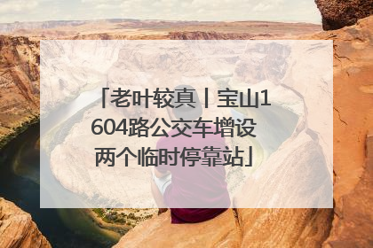 老叶较真丨宝山1604路公交车增设两个临时停靠站