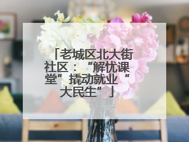 老城区北大街社区：“解忧课堂”撬动就业“大民生”
