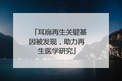 耳廓再生关键基因被发现，助力再生医学研究