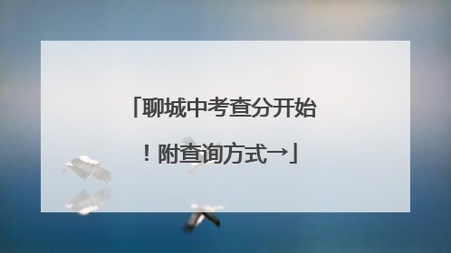 聊城中考查分开始！附查询方式→