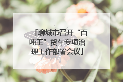 聊城市召开“百吨王”货车专项治理工作部署会议