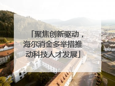 聚焦创新驱动，海尔消金多举措推动科技人才发展