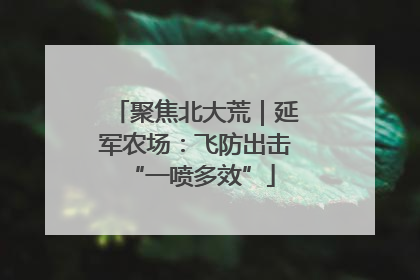 聚焦北大荒｜延军农场：飞防出击 “一喷多效”