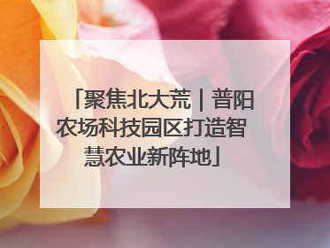 聚焦北大荒｜普阳农场科技园区打造智慧农业新阵地