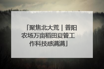 聚焦北大荒｜普阳农场万亩稻田夏管工作科技感满满