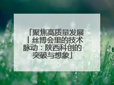 聚焦高质量发展丨丝博会里的技术脉动：陕西科创的突破与想象