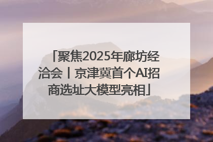 聚焦2025年廊坊经洽会丨京津冀首个AI招商选址大模型亮相