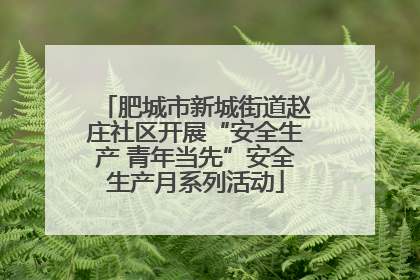 肥城市新城街道赵庄社区开展“安全生产 青年当先”安全生产月系列活动
