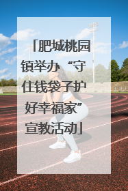 肥城桃园镇举办“守住钱袋子护好幸福家”宣教活动