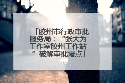 胶州市行政审批服务局：“张大为工作室胶州工作站”破解审批堵点