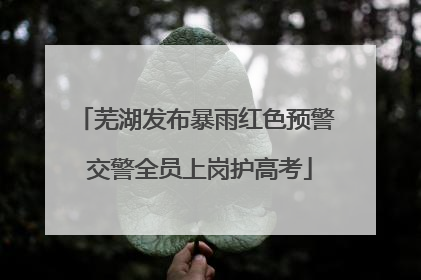 芜湖发布暴雨红色预警 交警全员上岗护高考