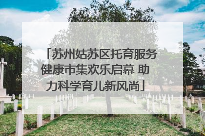 苏州姑苏区托育服务健康市集欢乐启幕 助力科学育儿新风尚