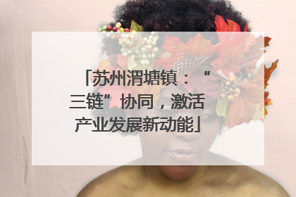 苏州渭塘镇：“三链”协同，激活产业发展新动能