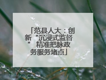 范县人大：创新“沉浸式监督” 精准把脉政务服务堵点