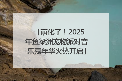萌化了！2025年鱼梁洲宠物派对音乐嘉年华火热开启
