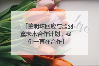 董明珠回应与孟羽童未来合作计划：我们一直在合作