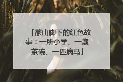 蒙山脚下的红色故事：一所小学、一盏茶碗、一匹病马