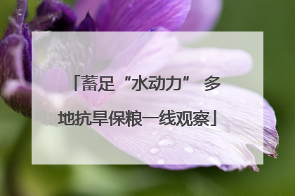 蓄足“水动力” 多地抗旱保粮一线观察