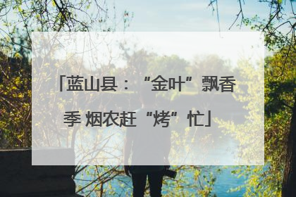 蓝山县：“金叶”飘香季 烟农赶“烤”忙