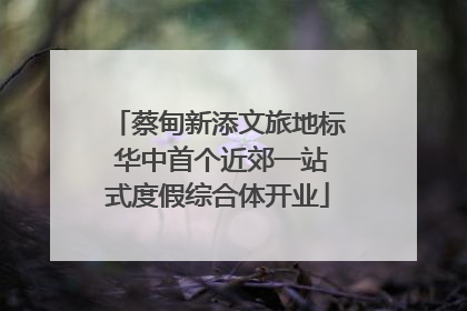 蔡甸新添文旅地标 华中首个近郊一站式度假综合体开业