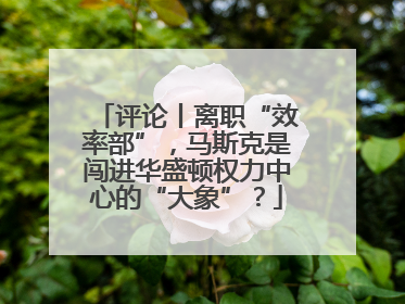 评论丨离职“效率部”，马斯克是闯进华盛顿权力中心的“大象”？