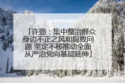 许勤：集中整治群众身边不正之风和腐败问题 坚定不移推动全面从严治党向基层延伸