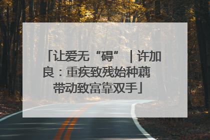 让爱无“碍”｜许加良：重疾致残始种藕 带动致富靠双手