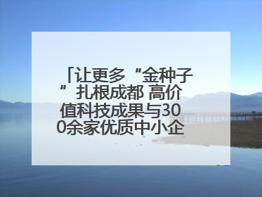 让更多“金种子”扎根成都 高价值科技成果与300余家优质中小企业精准对接