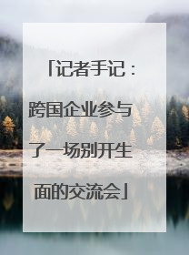 记者手记：跨国企业参与了一场别开生面的交流会