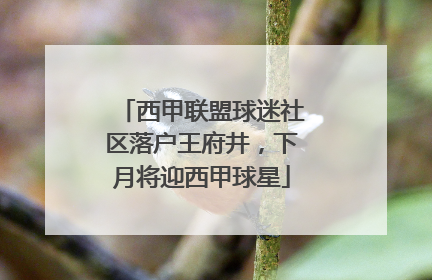 西甲联盟球迷社区落户王府井，下月将迎西甲球星
