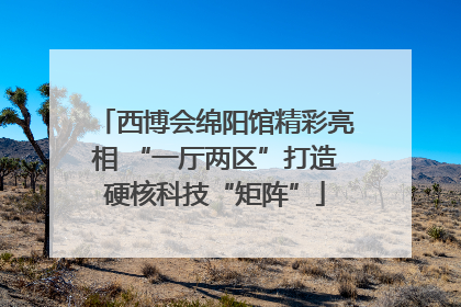 西博会绵阳馆精彩亮相 “一厅两区”打造硬核科技“矩阵”