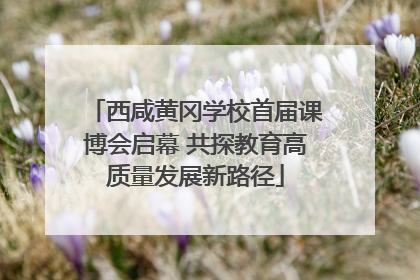 西咸黄冈学校首届课博会启幕 共探教育高质量发展新路径