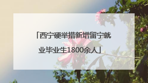 西宁硬举措新增留宁就业毕业生1800余人