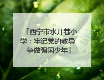 西宁市水井巷小学：牢记党的教导 争做强国少年