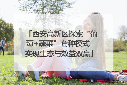 西安高新区探索“葡萄+蔬菜”套种模式 实现生态与效益双赢