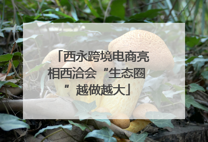 西永跨境电商亮相西洽会“生态圈”越做越大