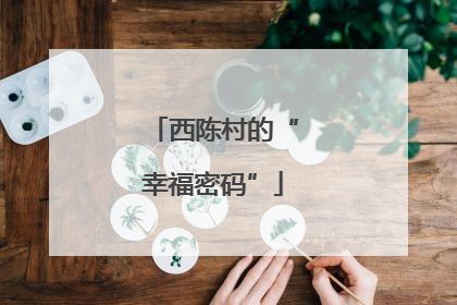 西陈村的“幸福密码”