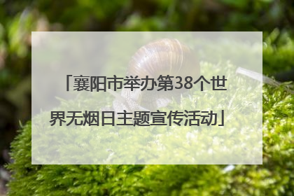 襄阳市举办第38个世界无烟日主题宣传活动