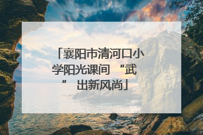 襄阳市清河口小学阳光课间 “武” 出新风尚
