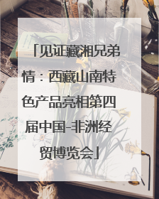 见证藏湘兄弟情：西藏山南特色产品亮相第四届中国-非洲经贸博览会