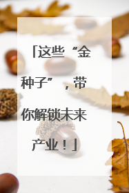 这些“金种子”，带你解锁未来产业！