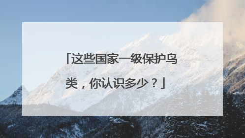 这些国家一级保护鸟类，你认识多少？