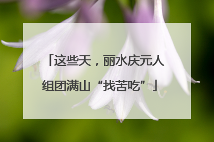 这些天，丽水庆元人组团满山“找苦吃”