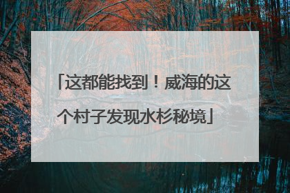 这都能找到！威海的这个村子发现水杉秘境