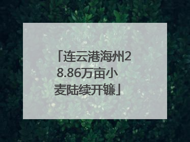 连云港海州28.86万亩小麦陆续开镰