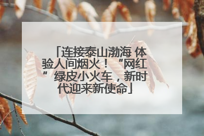 连接泰山渤海 体验人间烟火！“网红”绿皮小火车，新时代迎来新使命