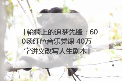 轮椅上的追梦先锋：600场红色音乐党课 40万字讲义改写人生剧本