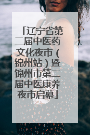 辽宁省第二届中医药文化夜市（锦州站）暨锦州市第二届中医康养夜市启幕
