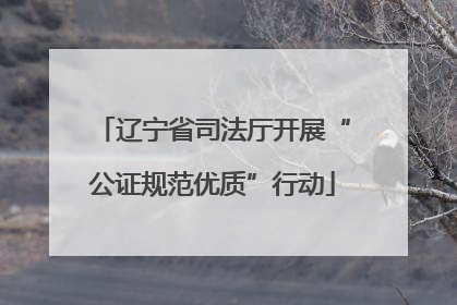 辽宁省司法厅开展“公证规范优质”行动
